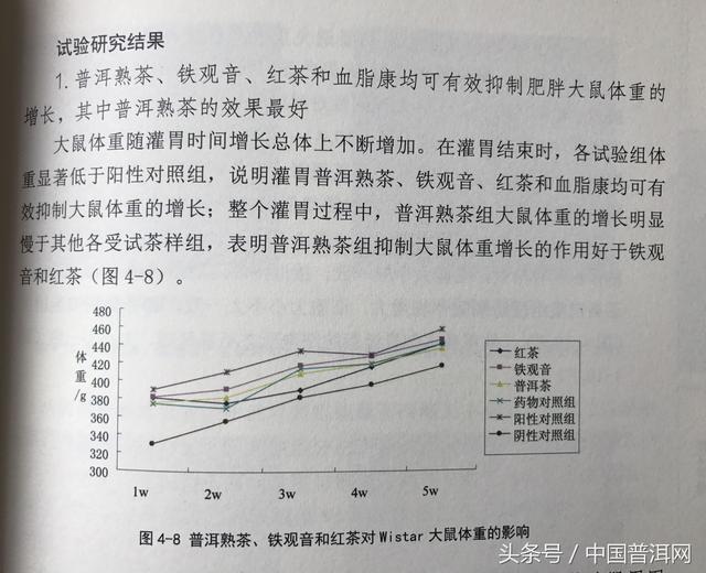 普洱茶减肥效果与持续饮用时间的关系研究