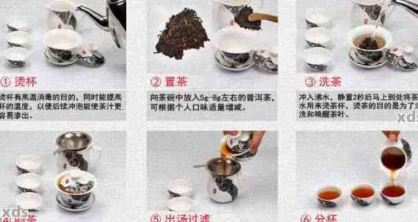 如何正确泡制普洱茶与圆组合？提供全面步骤和技巧，让你品尝到口感！