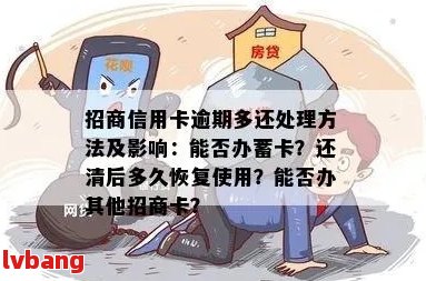 招联逾期修复技巧：如何高效处理并避免影响信用？