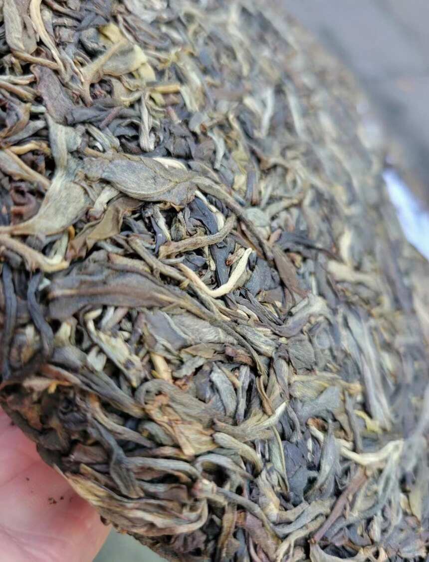 薄荷塘普洱茶二类单株价格2018