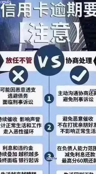 新 '逾期透支总汇的全方位解读与应对策略'