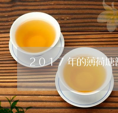 薄荷塘普洱茶二类375