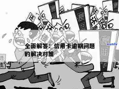 新 '逾期透支总汇的全方位解读与应对策略'