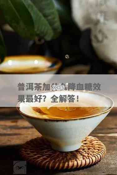 普洱茶：低糖 vs 无糖，哪个更健？