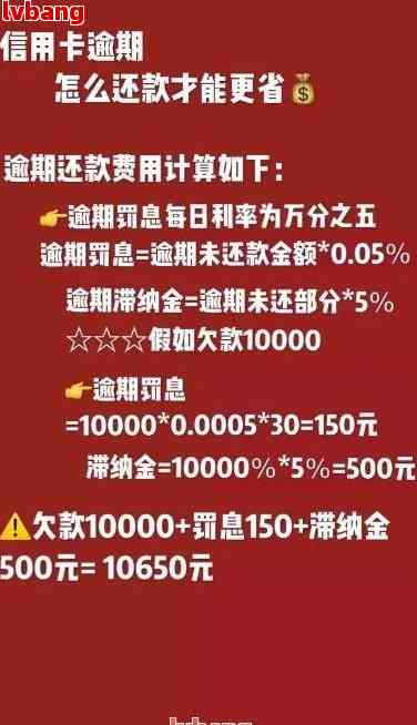 逾期后还款：全额还款是必须的吗？还有哪些选择和可能的影响？