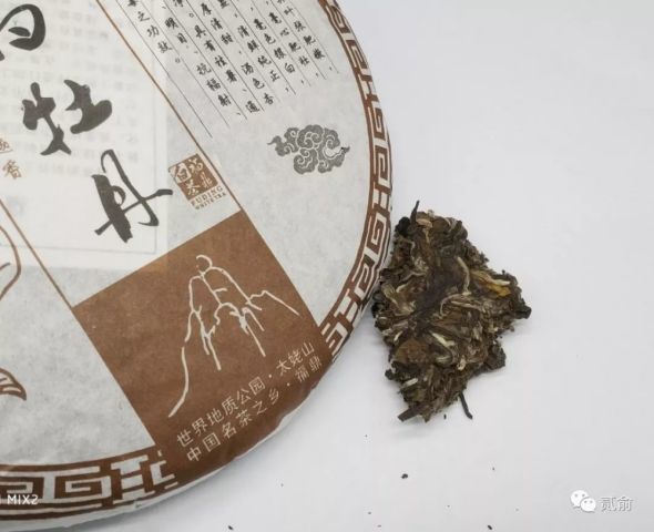 云王博士普洱茶九星白茶价格与真伪鉴别，防骗指南