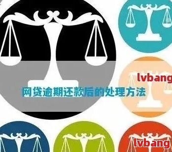 网贷逾期后公司处理流程详解：如何应对、相关法规及可能影响