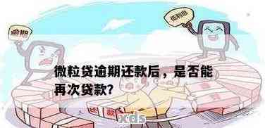 微立贷逾期后还款了，多久才能再贷款买房？