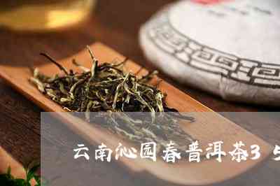 铜钱草可以浇凉普洱茶吗