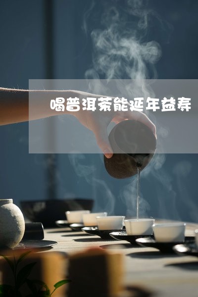 年益寿普洱茶推荐哪款