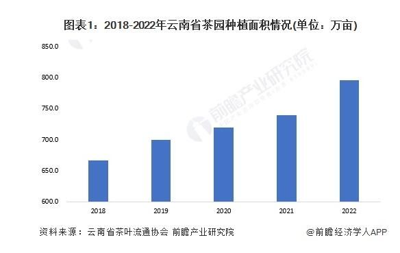 云南普洱茶市场规模分析：2023年销售额预测及消费者偏好探讨