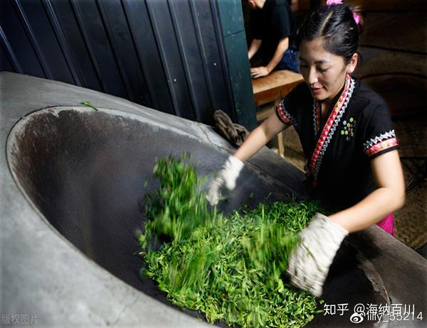 探究普洱茶青草香味的奥秘：源头、制作工艺与品饮体验