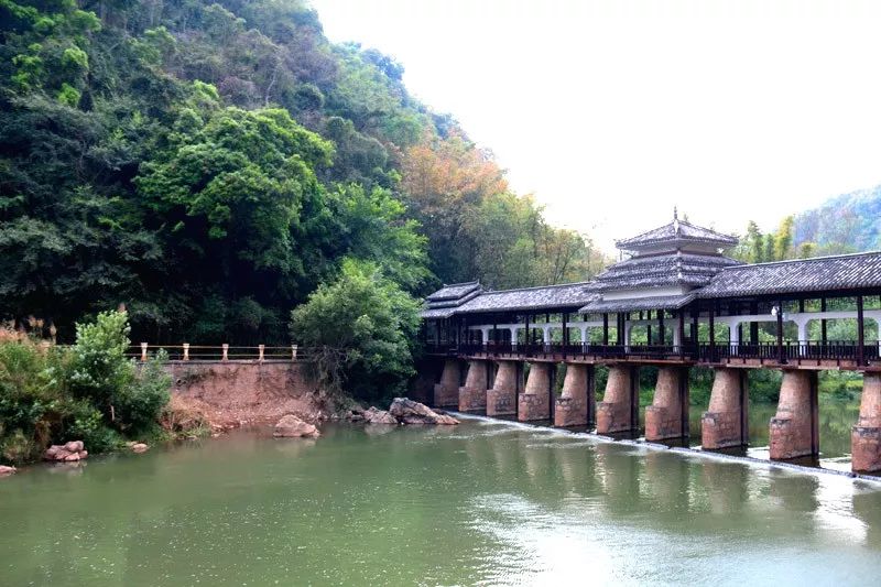 普洱茶为什么青草味道好