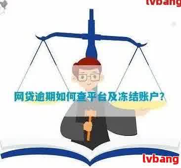 网贷逾期怎么查询是哪个平台 - 查询网贷逾期账户及借款平台