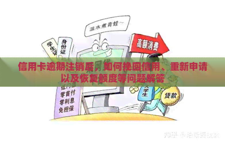 逾期5年后信用卡申办攻略：如何重新获得信用额度及相关问题解答