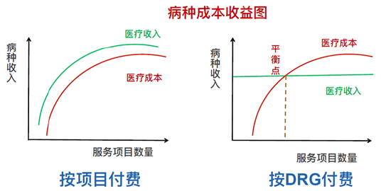 芙蓉种植成本分析：如何根据不同的种植方法和规模计算合适的价位？