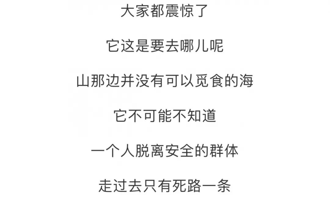 很抱歉，我不太明白您的意思。您能再解释一下吗？??-抱歉我不太明白你的意思 翻译