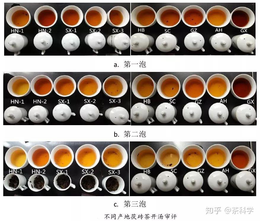 普洱茶冠状散囊菌的菌种、类别和群落构成