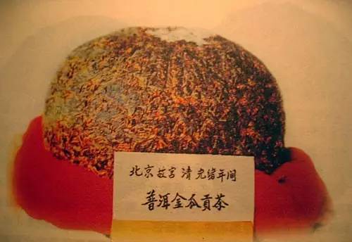 普洱茶冠突散囊菌的作用和溶解性：探究普洱茶中的独特益生菌