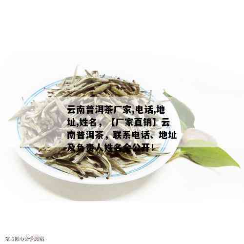 云南景迈山区的普洱茶，一款独具风味的茶叶宴