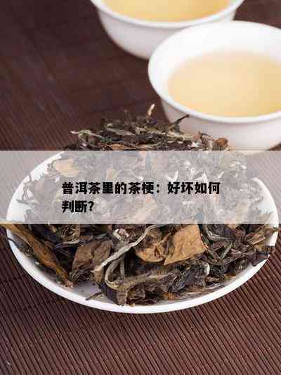 如何辨别普洱茶梗的生熟：掌握这五大要点轻松分辨！