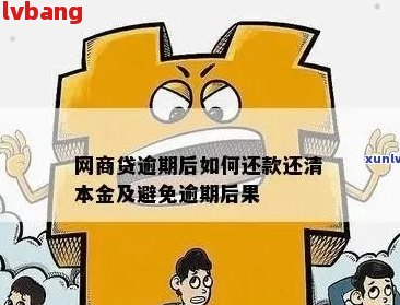 网商贷逾期还款的全方位影响及应对策略，让你轻松避免陷入困境