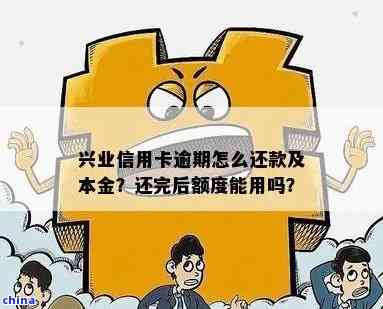 兴业信用卡退更低还款费详细步骤及注意事项