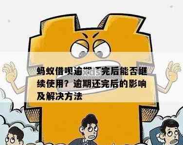 逾期后如何继续借款？在其他平台找到解决方案