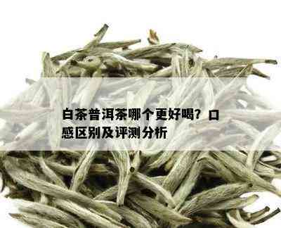 富硒白茶与普洱茶：对比分析，哪个更适合你？