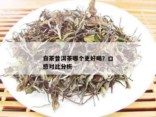 富硒白茶与普洱茶：对比分析，哪个更适合你？