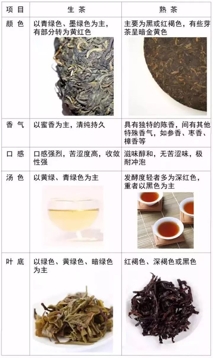 如何区分普洱茶生熟及优劣等级