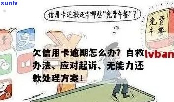 信用卡按时还款：合法行为还是潜在风险？