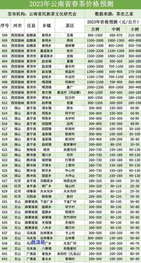 新南棠馆名品普洱茶一览表 - 品质、价格与口感对比分析