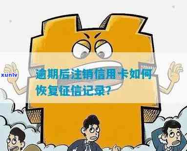 逾期后信用卡被注销恢复额度及明细查询处理办法