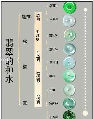 晴水颜色分类类型与种类有哪些