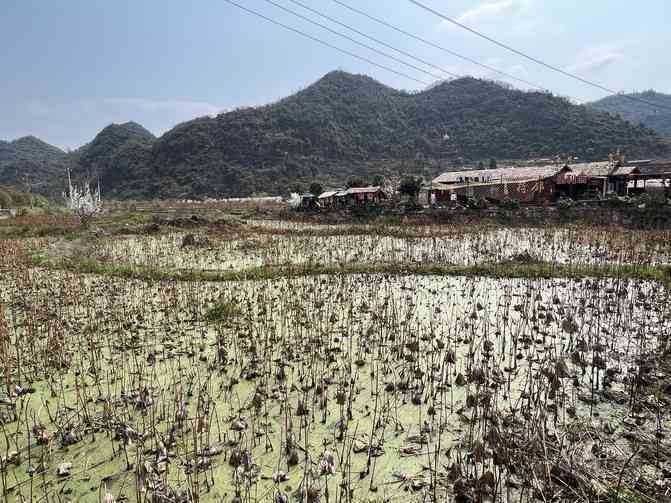 探索安顺幺铺旅游胜地：不可错过的景点和活动一览