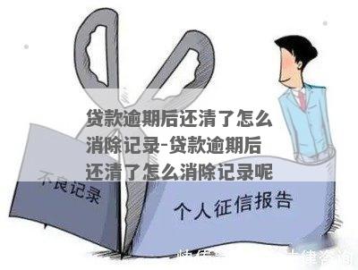 五年后逾期还清贷款记录消除，是否能够再次贷款？