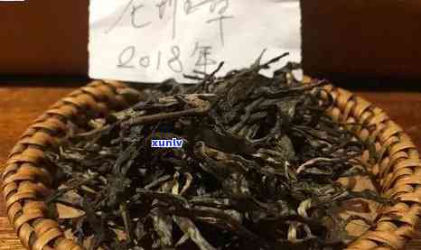 老班章普洱茶生茶怎么泡——品饮技巧与健效益，生普多少钱一饼？