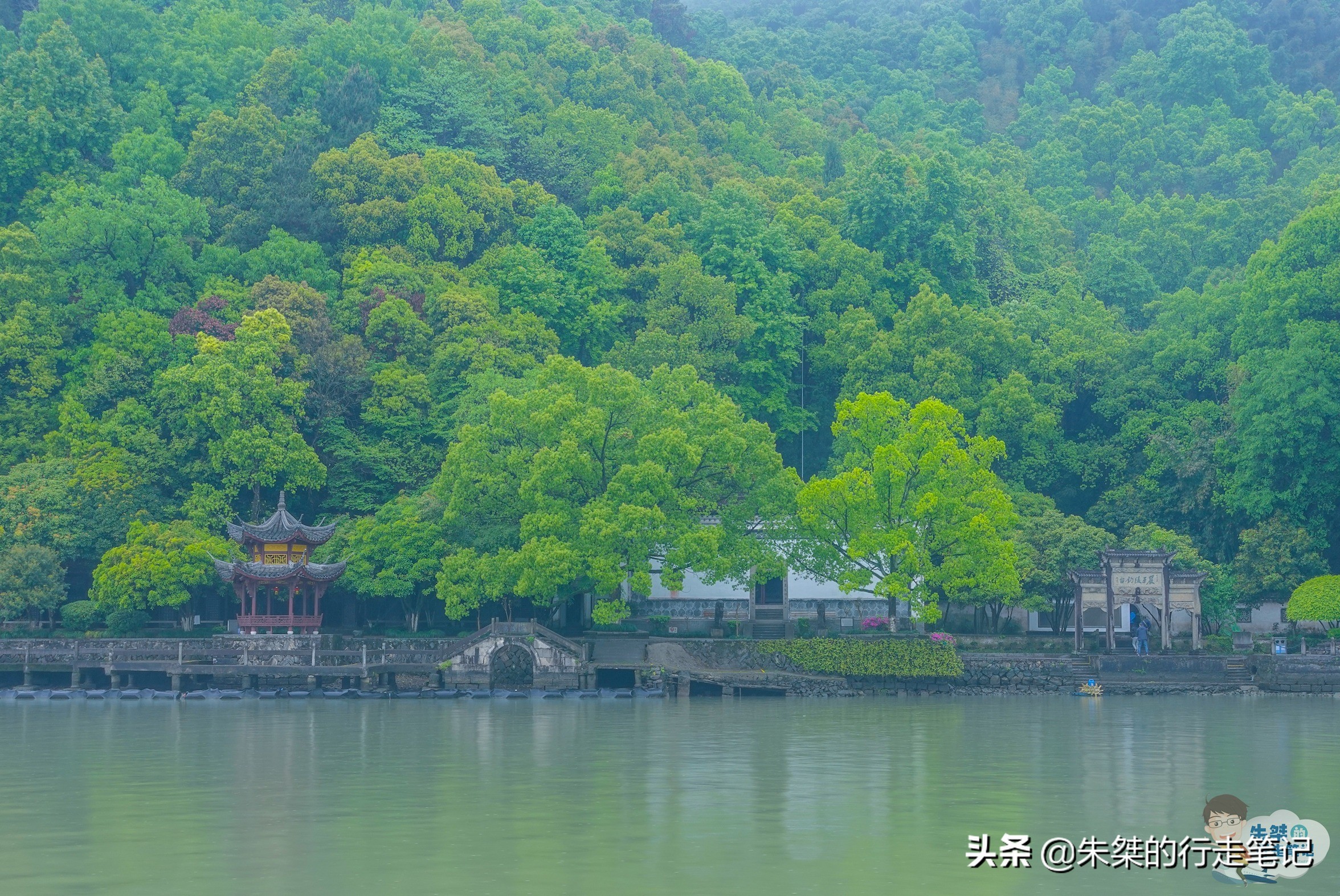 探索丽水茶乡：产自这里的茶叶品种及独特风味