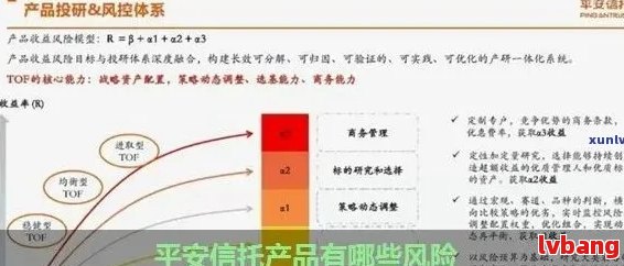 全面了解网贷对公账户还款安全性：风险与防护措分析