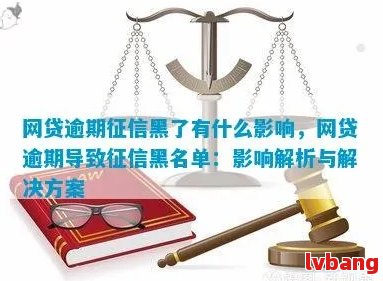 逾期款项未偿还：信用黑名单的生成与影响