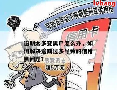 逾期款项未偿还：信用黑名单的生成与影响