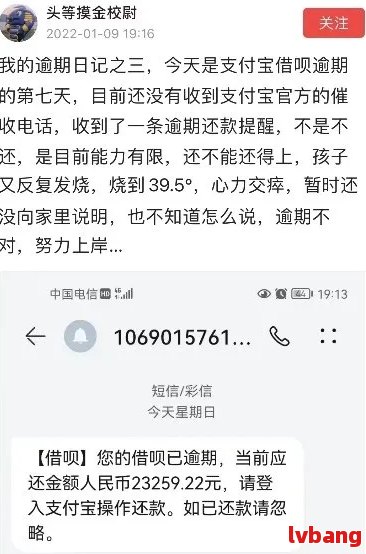 借呗一万逾期一年多了会被起诉吗-解决方法和后果