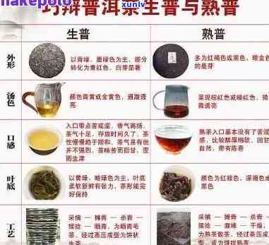 大益普洱茶7522:一款全面解析的茶叶品种及其品质特点，如何品饮与购买指南