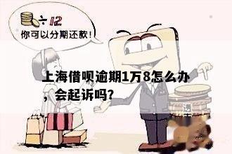 借呗逾期多久了会被起诉？来自上海，借呗逾期多久上？