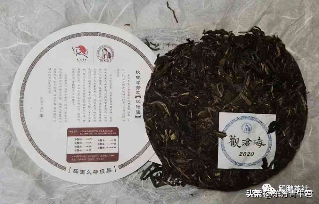 沧海普洱茶：价格高昂背后的因由