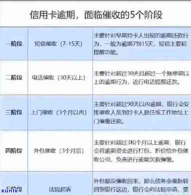 信用卡逾期还款方式全面解析：是否可以通过柜台一次性还清所有欠款？