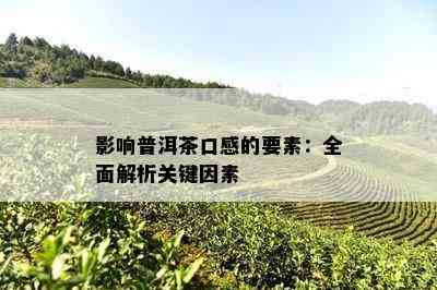 普洱茶回的科学解释及其影响因素：从品质、工艺到个人口感的综合分析