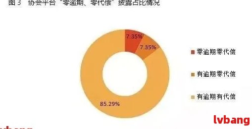 逾期占比：了解逾期情况的全面分析与解决策略