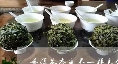 普洱茶香味存异味怎么办